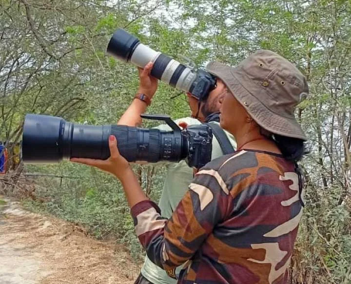 https://www.sundarbanexplore.com/wp-content/uploads/2023/09/national-park-row1.jpg