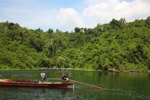 https://www.sundarbanexplore.com/wp-content/uploads/2025/09/river-calm-scenery.jpg