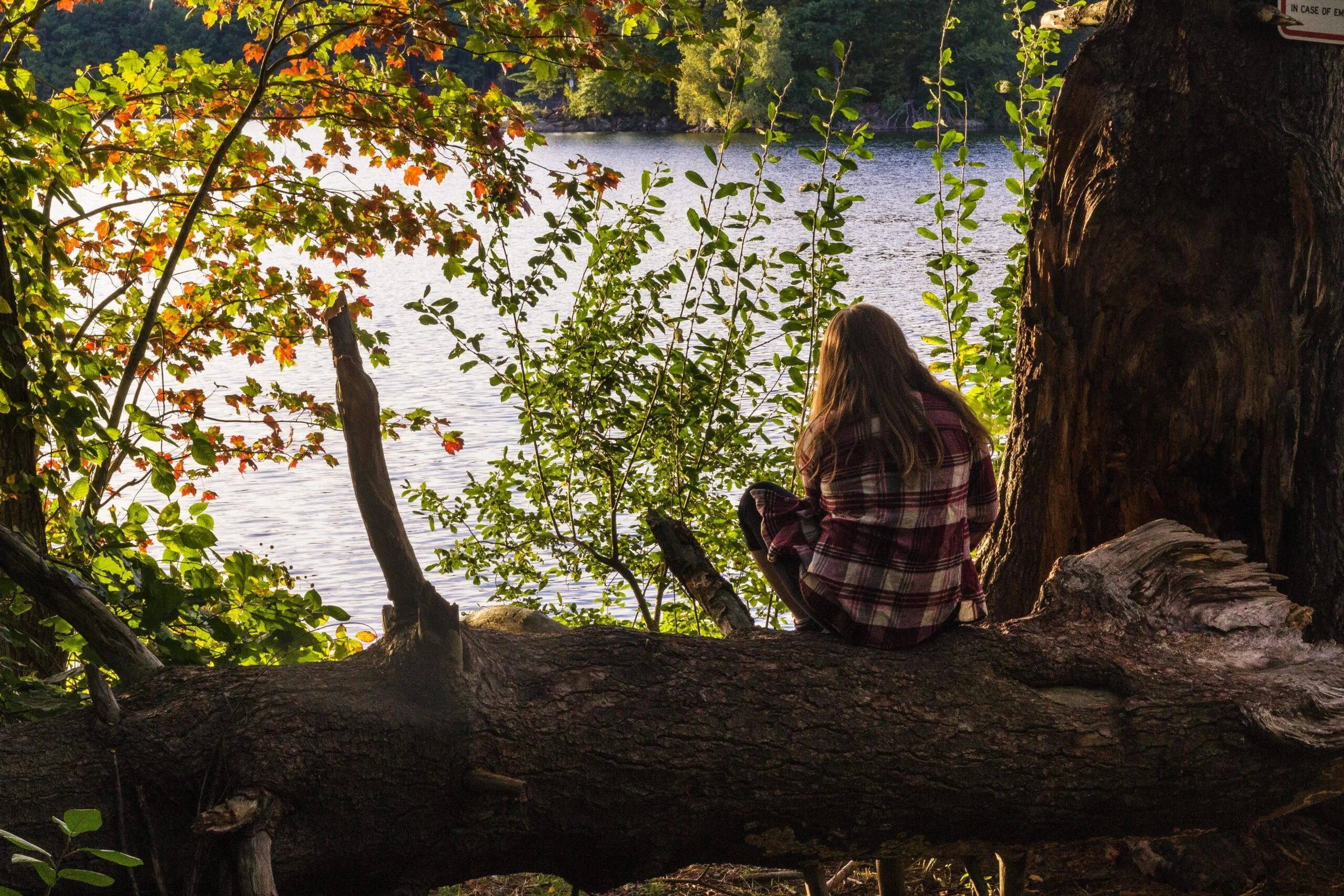 https://www.sundarbanexplore.com/wp-content/uploads/2025/11/female-sitting-tree-enjoying-view-with-sea-scaled.jpg
