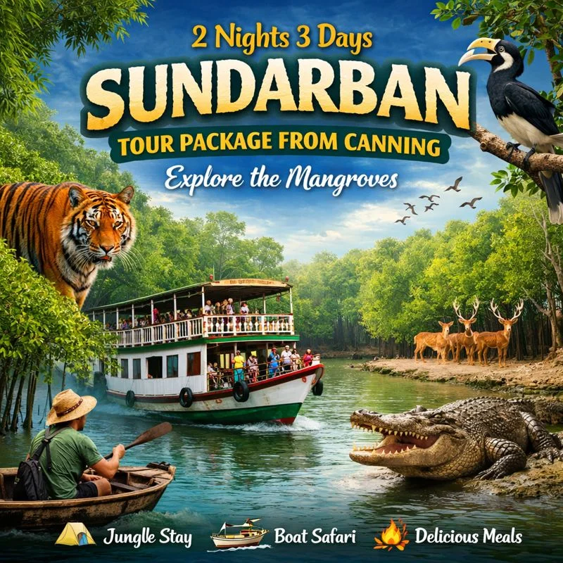 https://www.sundarbanexplore.com/wp-content/uploads/2026/01/d643b51b-7aaa-46b9-83d1-45b7269b0e50-md.jpeg