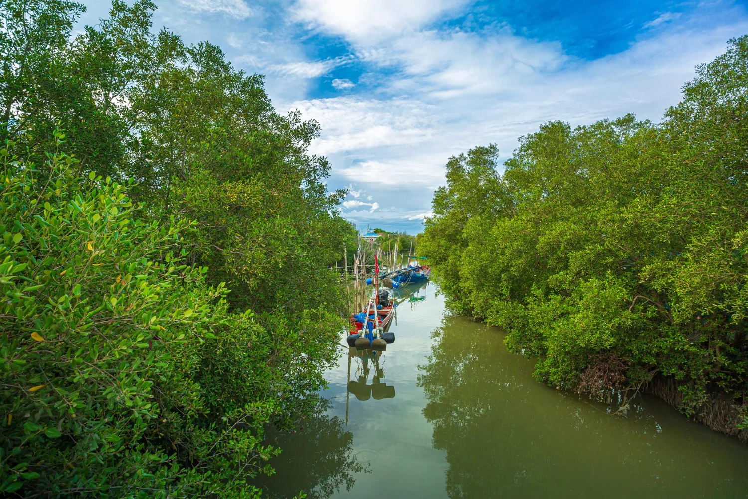 https://www.sundarbanexplore.com/wp-content/uploads/2026/02/7841.jpg