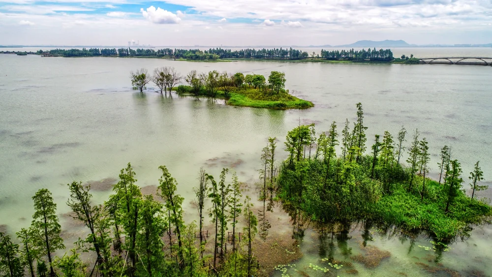 https://www.sundarbanexplore.com/wp-content/uploads/2026/02/Affordable-Sundarban-Tour-Package-from-Canning.jpg